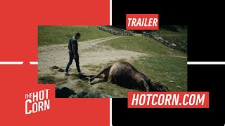 PERICOLOSAMENTE VICINI  Il trailer  HOT CORN [upl. by Sarat266]