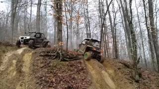 Arctic Cat Wildcat Sport hill climbing in Cincinnati hollar [upl. by Stovall]