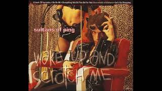 Sultans Of Ping  Do Re Mi Carter USM Cover [upl. by Ina]