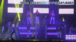 orquesta panama 2015odio no odiarte [upl. by Fortuna]