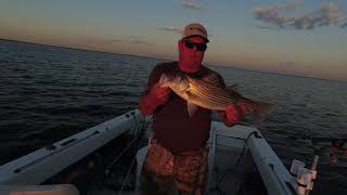 Trolling for Stripers on Lake Tawakoni [upl. by Notlrac]