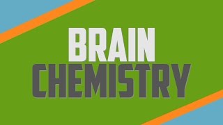 Brain Chemistry and Stress [upl. by Jaclyn]