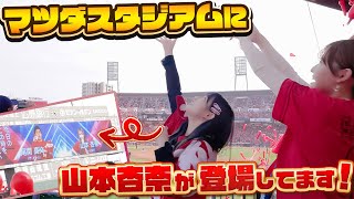 【それ行けカープ】出演告知！杏奈パパにお知らせ！スタジアム観戦！【全部見せます！しゃ👊🏻】 [upl. by Allegra]