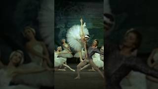 Rudolf Nureyev amp Margot Fonteyn Pas de Deux SWAN LAKE ACT 4 a Tchaikovsky ballet shorts ballet [upl. by Eellek]