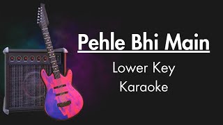 Pehle Bhi Main Lower Key Karaoke  Unplugged Karaoke With Lyrics  Animal  Vishal Mishra [upl. by Eelirrem]