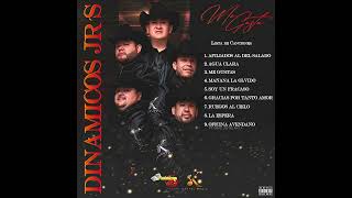 Dinamicos Jrs  6 Gracias Por Tanto Amor Audio Oficial [upl. by Lentha]