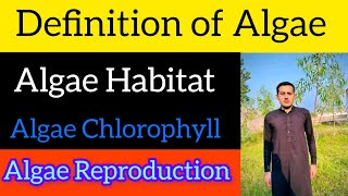 Define Algae  Thallus Structure  Reproduction Of Algae [upl. by Aihppa]