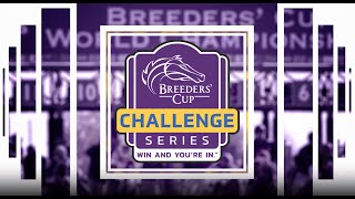 2023 Breeders Cup Challenge Series Recap [upl. by Annaed947]