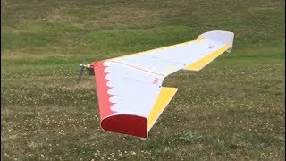 Flite Test  FT Versa Wing  Maiden Flight [upl. by Anitrebla]