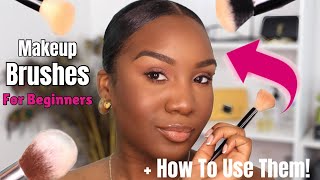 Easy Beginner Makeup Brush Tutorial For Flawless Looks [upl. by Hinkle]