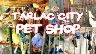 TARLAC CITY PET SHOP SINGKO TV [upl. by Kleinstein]