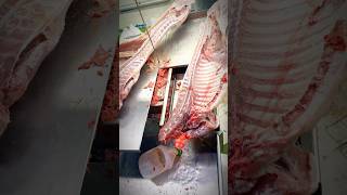 Lamb carcass whole Australian lamb carcass whole frozen cuttingshorts [upl. by Ardnot]