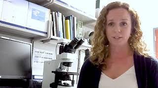 US  BACTALERT® VIRTUO® Customer Testimonial – Lindsay Kimbrell Microbiology Supervisor [upl. by Oisangi]