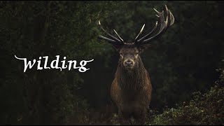 Wilding  Official Trailer [upl. by Yrogerg842]