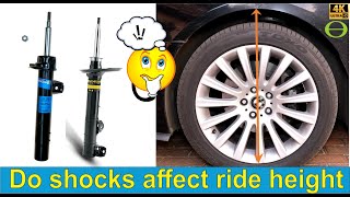 Do shock absorbers  dampers affect the ride height [upl. by Rourke250]