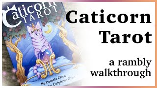 The Caticorn Tarot Walkthrough 🐈 [upl. by Loss193]