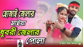 হোজাই জেলার মাইয়া ধুবরী জেলার পোলা  Singer Nuhu Alam Shajida khatun  Bangla Song [upl. by Maiocco752]