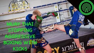 Muay Thai Vs Boxing  Countering Punches with Kicks Tutorial [upl. by Alak]