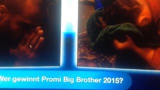 Promi Big Brother Finale Gewinner 2015 [upl. by Enyalaj300]