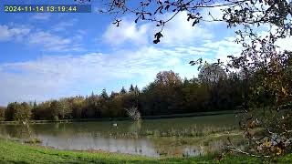 camera heron ou aigrette [upl. by Esiuqcaj]