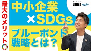 SDGsが中小企業にもたらす最大のメリット【ブルーポンド戦略】 [upl. by Tamah821]