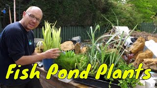 10 Fish Pond Plants  Examples of Aquatic Plants with Names [upl. by Aihcsrop284]