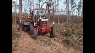 Belarus MTS 57050  Holz holen [upl. by Henrique]