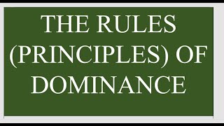 Game Theory  Dominance Rules [upl. by Yrohcaz]