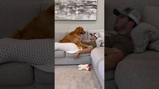 Saying my dogs favorite words in my sleep [upl. by Tessa]