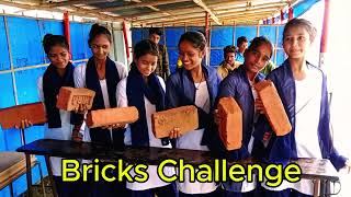 brick challenge girls viral trending [upl. by Sung]