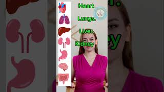 Human Body Internal Organs  English Vocabulary [upl. by Selohcin]