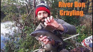 STEEL CITY GRAYLING on the Stick amp Pin River Don Oct 2020 [upl. by Enyahs705]