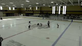 Buffalo Regals vs Glenview Jr Stars [upl. by Ativel]