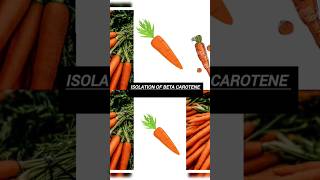 Isolation of beta carotene from carrots 🥕 shorts ytshorts msc chemistry practical yt [upl. by Assenav]