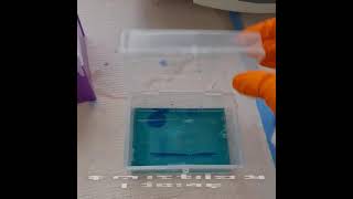 TechThursday 143 Quick Staining an SDSPAGE Gel 💙 [upl. by Eniamreg]