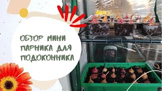 Собираю МИНИ ПАРНИК на подоконнике с Валберис 🧅🥦 сажаю ЛУК и ЗЕЛЕНЬ [upl. by Gemmell]