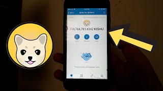 How to GET KISHU INU TOKEN for FREE 🐕 Earn KISHU INU Coin [upl. by Lubbock]