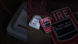 I got my first gentex alarm to add to my collection firesystem gentex firelite firealarm [upl. by Aved532]