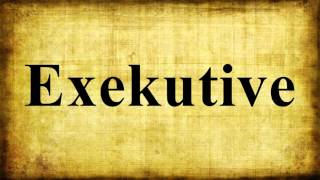 Exekutive [upl. by Avon]