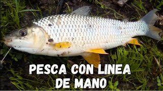 PESCA CON LINEA DE MANO AVENTURA Y EXPLORACIÓN jornada de pesca [upl. by Idas498]