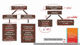 TEAS Science Review Immune System Part 1 higher volume [upl. by Wrigley]