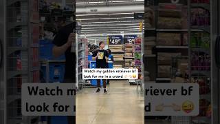 He’s so golden retriever coded am I right goldenretriever boyfriend satire prank walmart [upl. by Bouton]