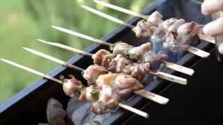 Yakitori Chicken 焼き鳥 Recipe  English Subtitles [upl. by Adnolaj]