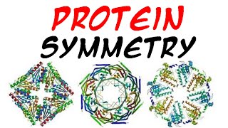 Protein symmetry  structural symmetry [upl. by Viking]