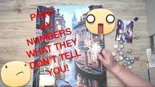 WHAT THEY DON’T TELL YOU  Paint By Numbers Review [upl. by Seaman]