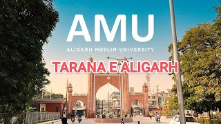 Tarana e Aligarh🌹  Aye Aligarh❤ aligarhmuslimuniversity amutarana themagicalwaytolearnamuaktc [upl. by Notnel]