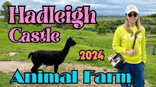 Exploring Animal Farm and Hadleigh Castle in 2024  history  nature  animals  countryside [upl. by Onivag214]