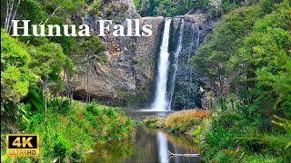 Hūnua Falls  New Zealand  Auckland  Kauri Dieback  Hunua Falls [upl. by Raab]