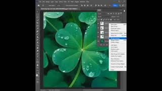 how to Create on flower designs in Photoshop shortfeed adobe shortsvideo [upl. by Gifferd]