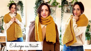 Comment faire une écharpe au TRICOT  Débutant 🧶 Rapide  Toutes tailles  Naya Lou Passion ⭐️ [upl. by Aleira]